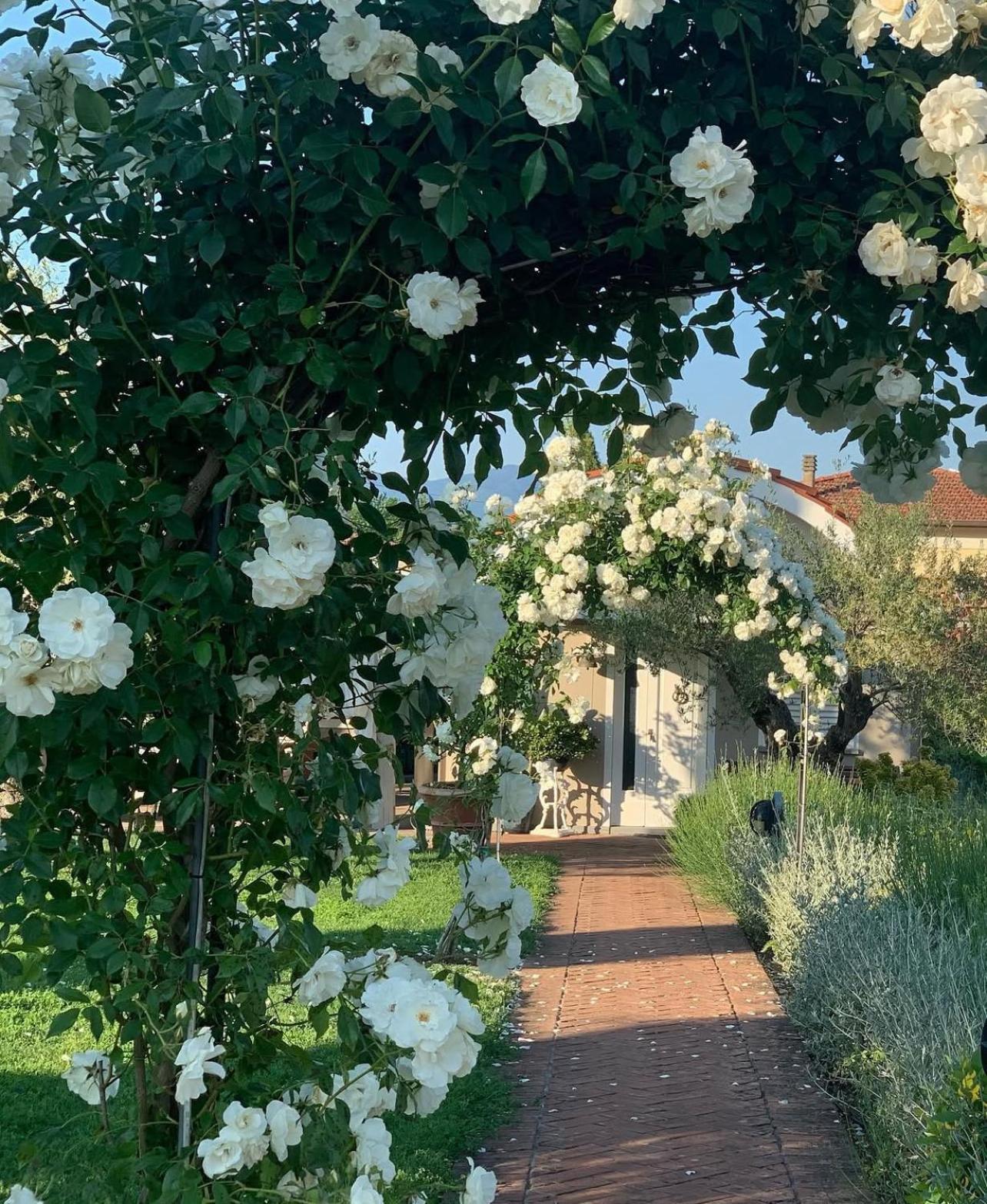 Casa Le Valli Cantagrillo ภายนอก รูปภาพ